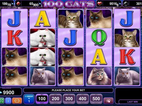 Jogue 100 Cats online